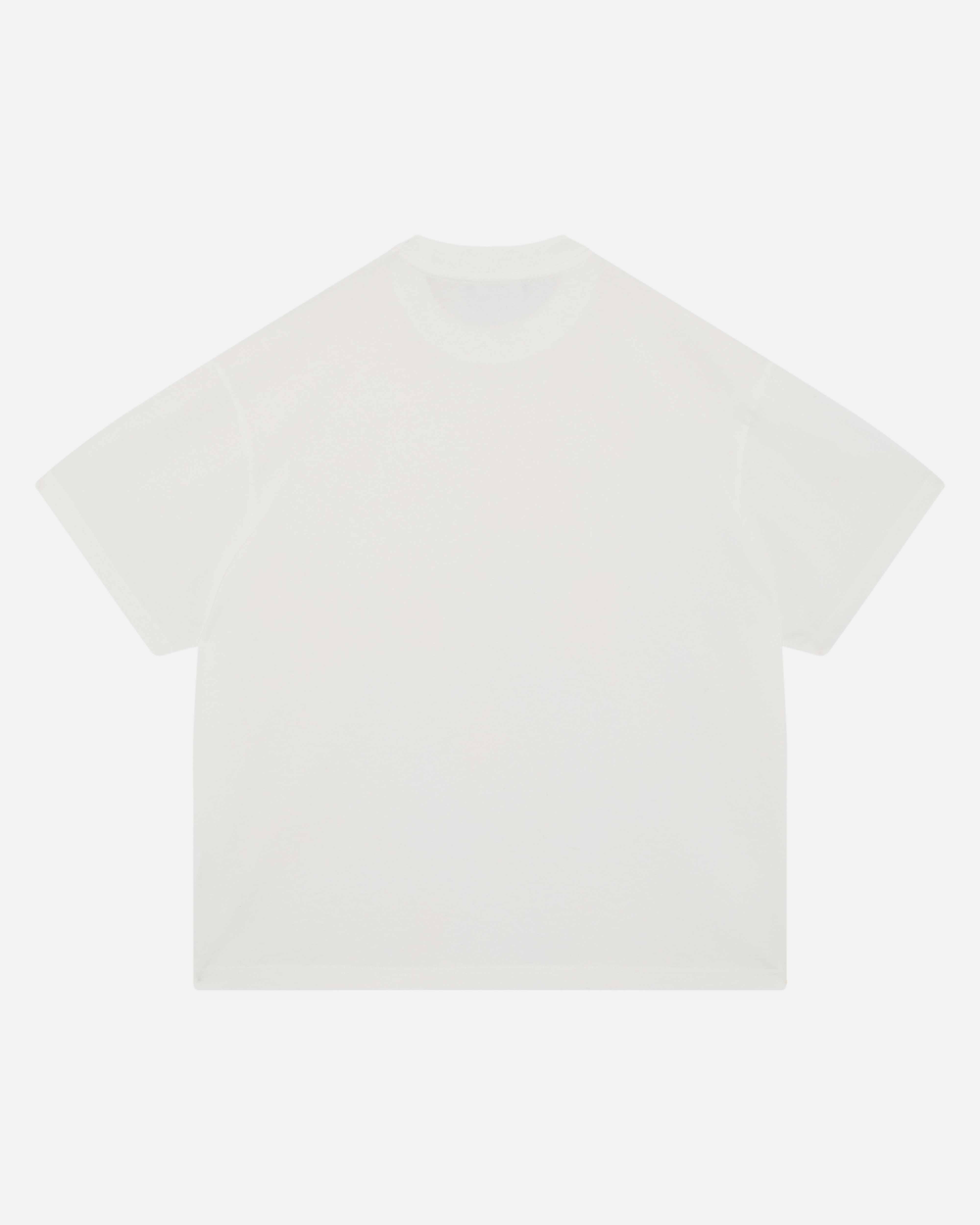 EVERYDAY T-SHIRT - VINTAGE WHITE from Summit Clothing UK