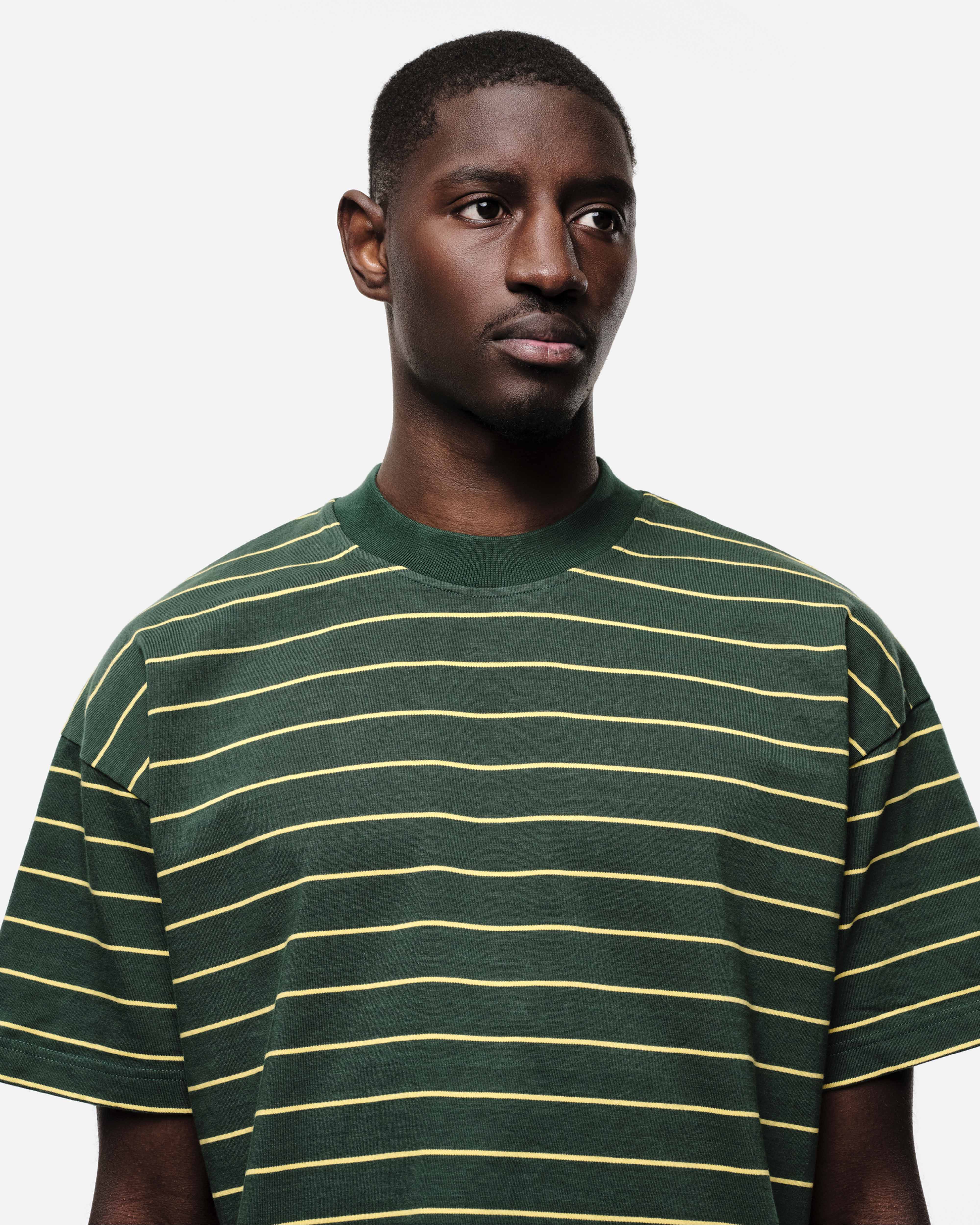 HEAVYWEIGHT T-SHIRT - BOTTLE STRIPE from Summit Clothing UK