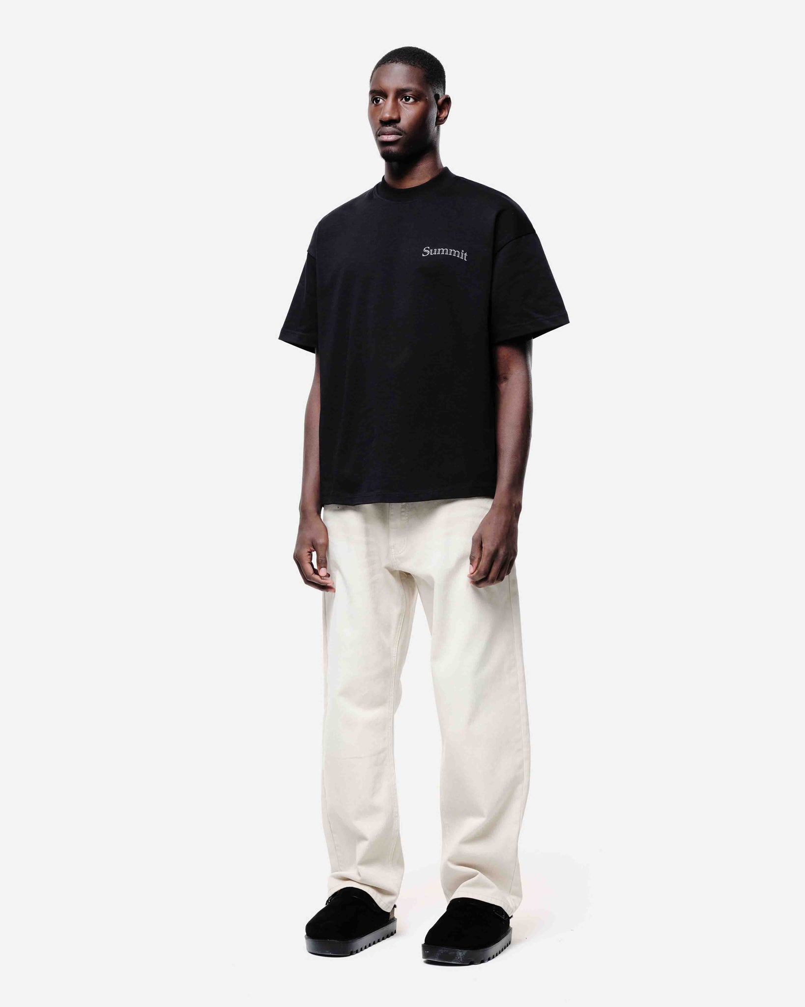 ORNAMENT T-SHIRT - BLACK from Summit Clothing UK